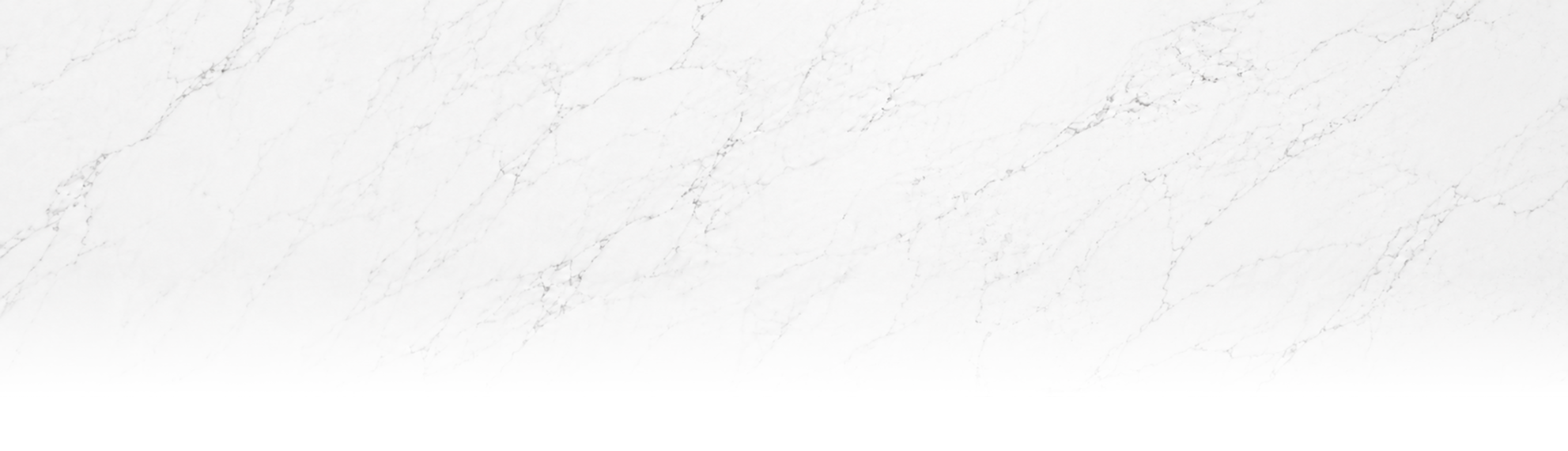 Food Banner